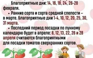 Когда сажать рассаду в 2025 году