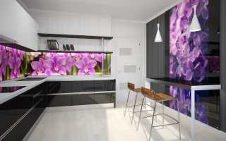 Скинали — беспроигрышный вариант добавить уникальности интерьеру: фото интересных стеклянных фартуков для кухни