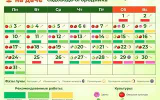 Лунный посевной календарь садовода и огородника на март 2025 года