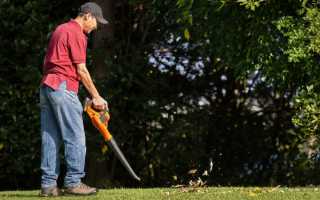 Лучшие воздуходувки: топ-10 моделей для сада и дома