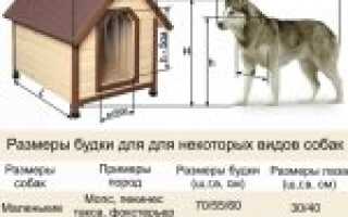 Как и чем лучше всего утеплять собачью будку