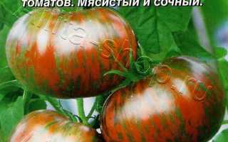 Томат Амурский тигр