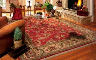 Как в домашних условиях почистить ковер (палас): лучшие подручные средства