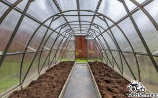 Чем обработать теплицу осенью от болезней и вредителей в 2025 году