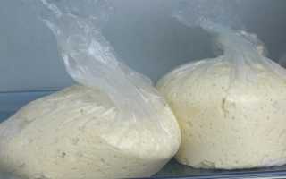 Как и сколько хранить дрожжевое тесто в холодильнике и без?