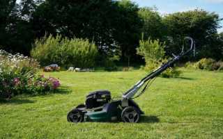 Как выбрать газонокосилку для дачи: 8 самых важных характеристик