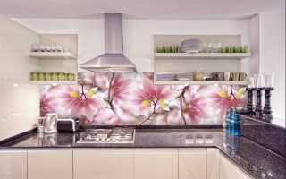 Защитный экран для кухни: выбор материала и установка своими руками