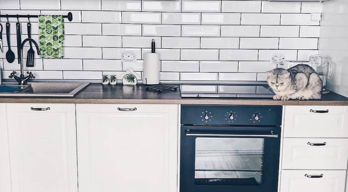 Скинали — беспроигрышный вариант добавить уникальности интерьеру: фото интересных стеклянных фартуков для кухни