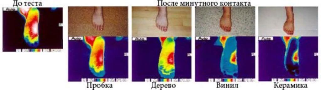 Пробковый пол на кухне: плюсы и минусы, фото и отзывы