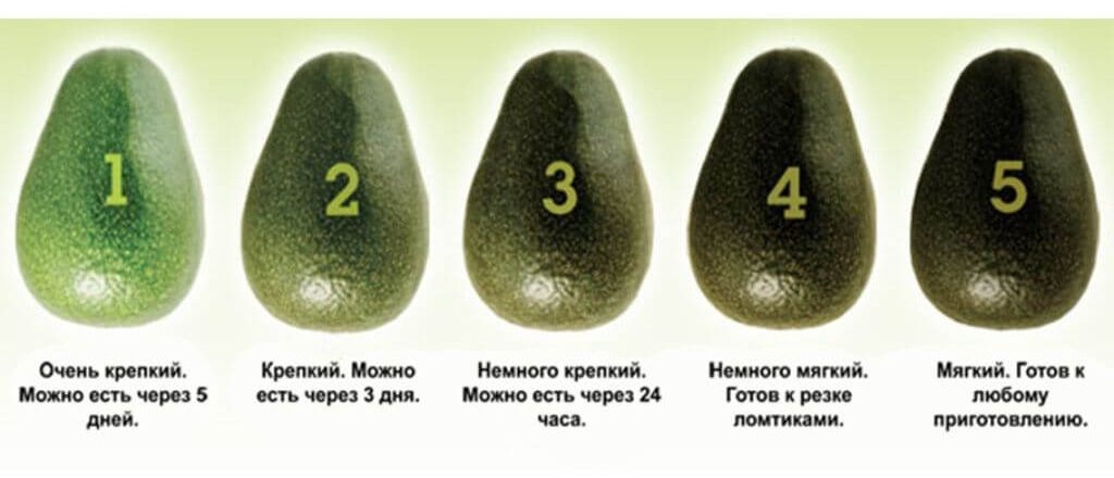 С чем сочетается авокадо в салатах: простые и вкусные рецепты с фото пошагово