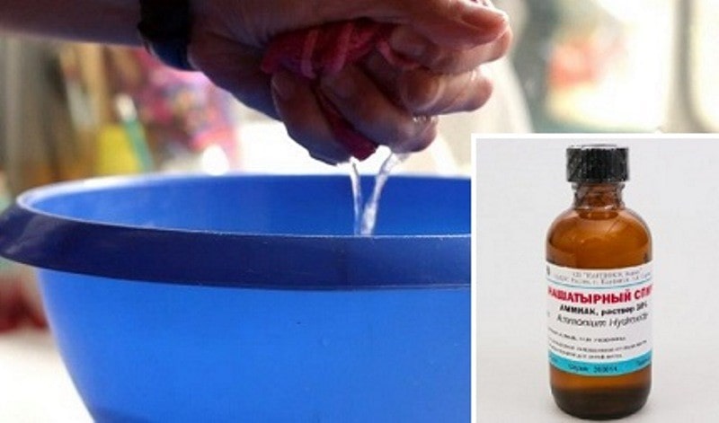 Как в домашних условиях почистить ковер (палас): лучшие подручные средства