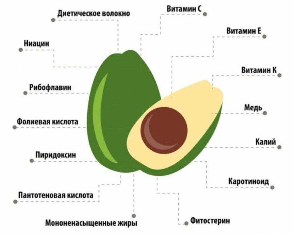 С чем сочетается авокадо в салатах: простые и вкусные рецепты с фото пошагово
