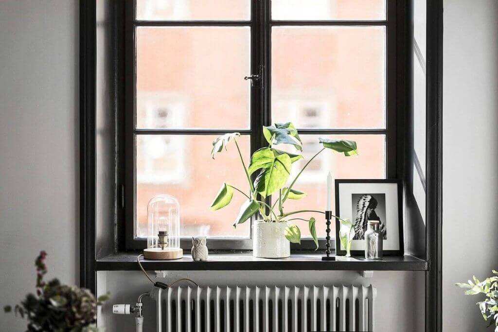 Как украсить, и что поставить на подоконник в кухне и других комнатах: 30 идей