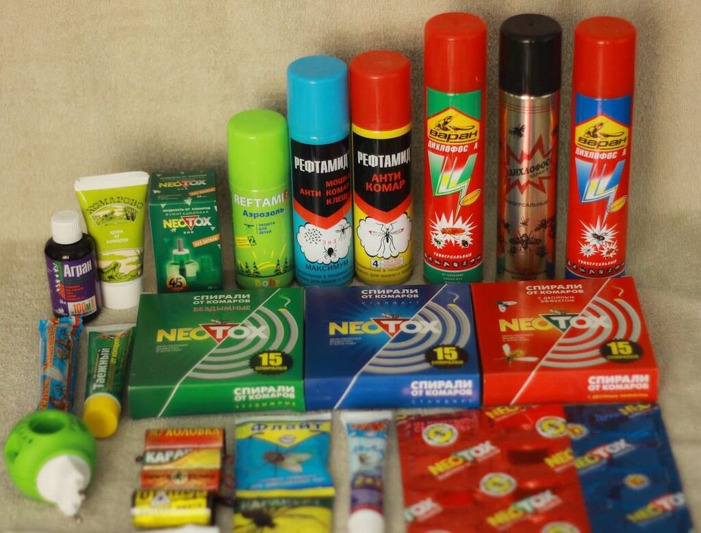 Откуда берутся мошки в квартире и как быстро избавиться от наглых гостей?