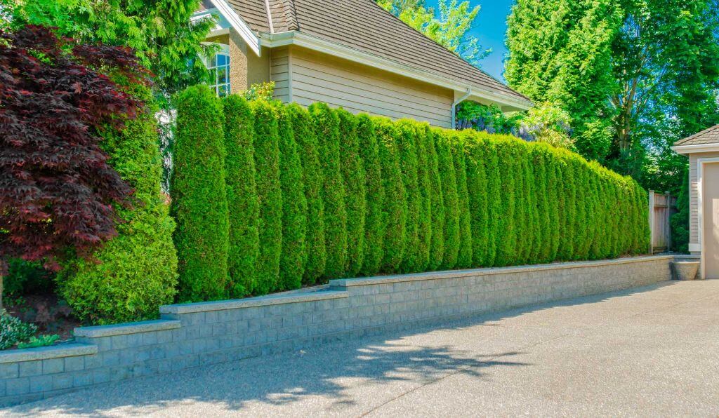 Как закрыть окна на первом этаже от посторонних взглядов и солнца своими руками