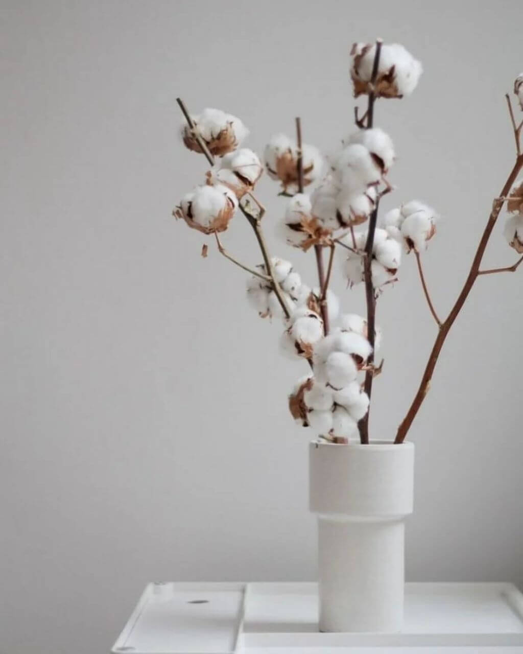 Что поставить в вазу, кроме цветов: 35 идей с фото в интерьере