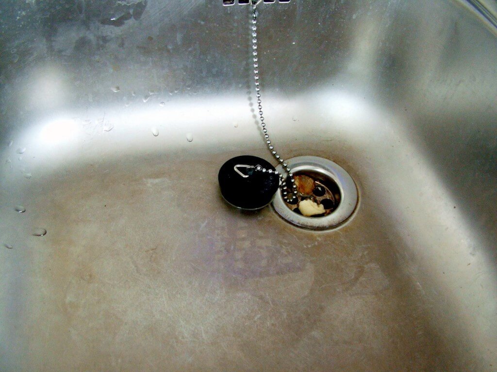 Откуда берутся мошки в квартире и как быстро избавиться от наглых гостей?