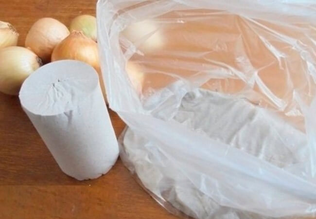 Как посадить зеленый лук дома на подоконнике: 7 способов