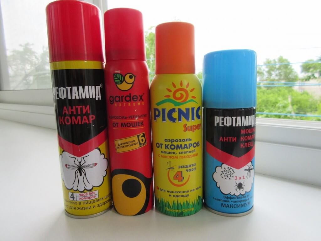 Незваных гостей за дверь: как вылечить комнатные растения от мошек