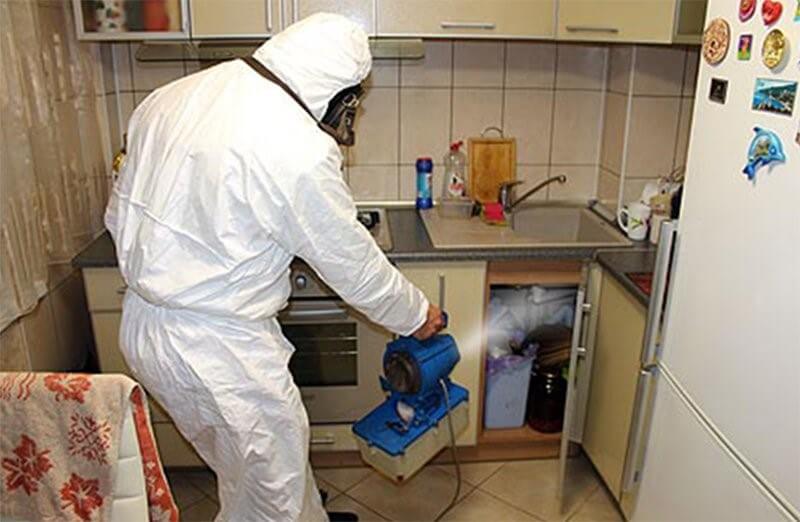 Клопы в квартире и доме: как избавиться самостоятельно раз и навсегда эффективными средствами