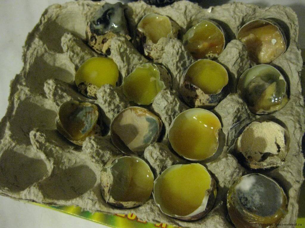 60 идей, как покрасить яйца на Пасху интересно и красиво своими руками с «химией» и без