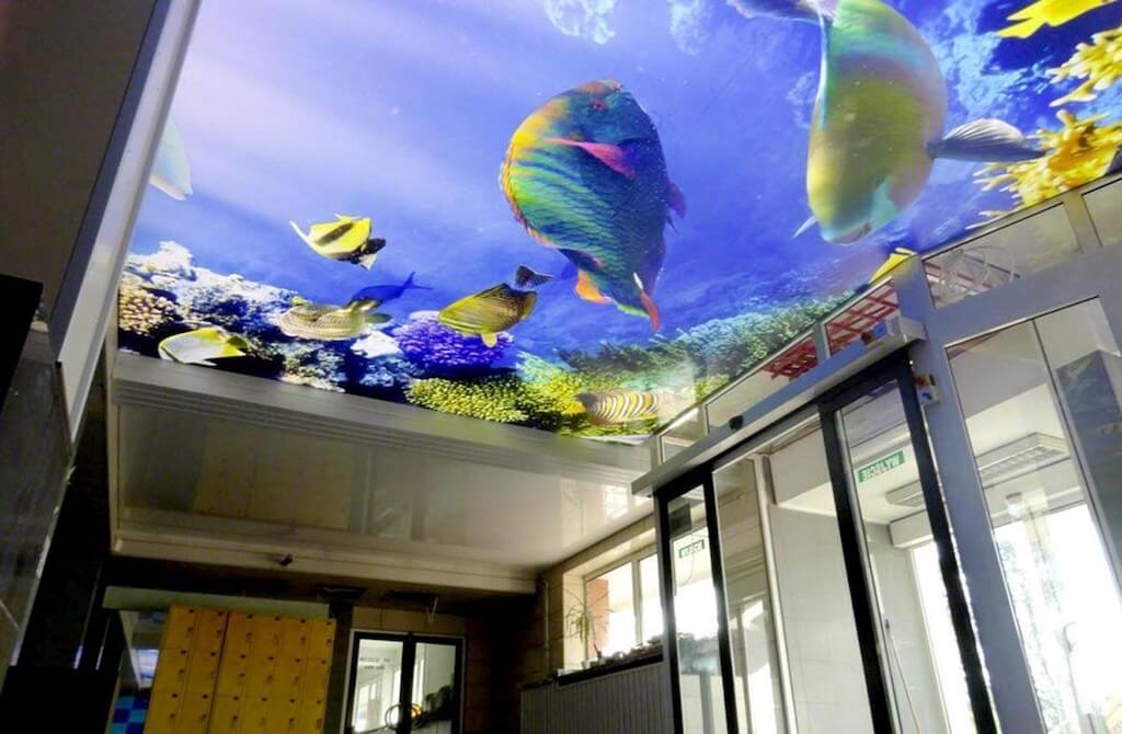 Лучшие варианты натяжных потолков на кухне и красивые фото для вдохновения