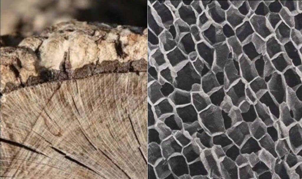 Пробковый пол на кухне: плюсы и минусы, фото и отзывы