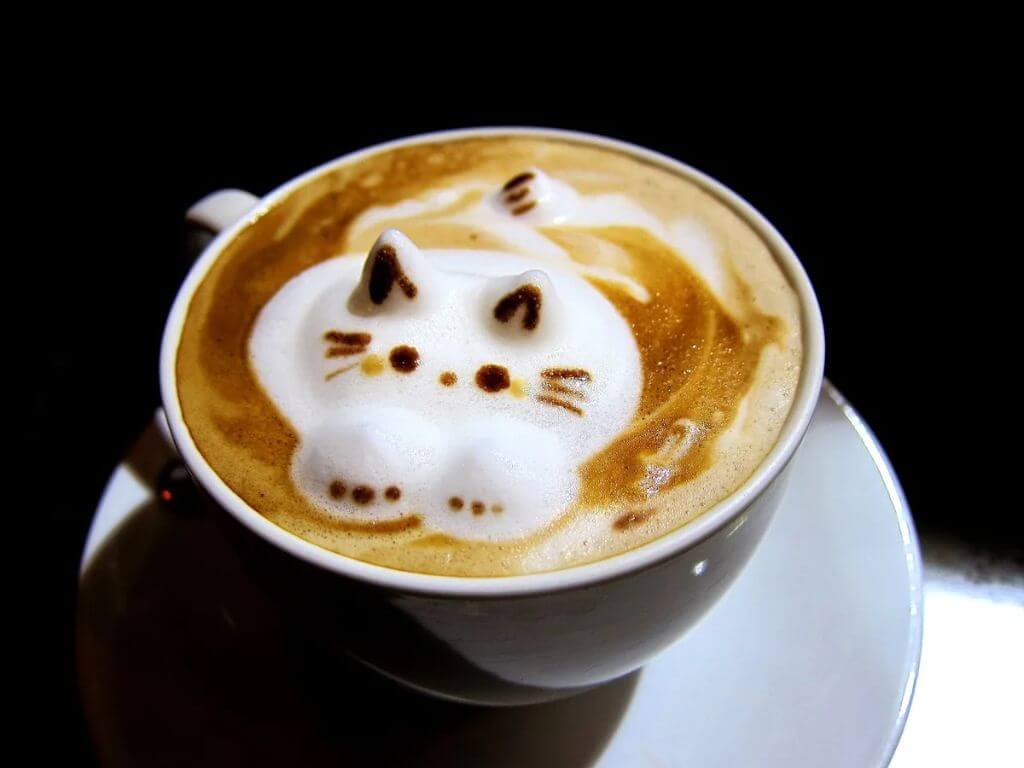 Кофе с пенкой: как сделать правильно и вкусно в домашних условиях в турке, на плите, в блендере, из растворимого