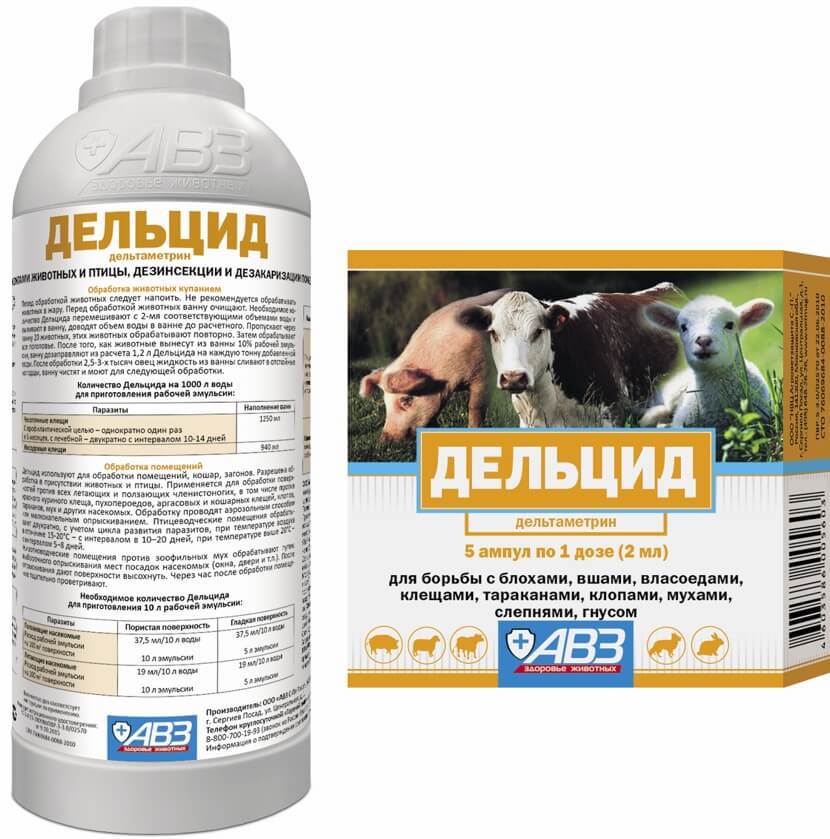 Клопы в квартире и доме: как избавиться самостоятельно раз и навсегда эффективными средствами