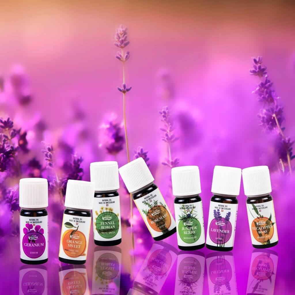 Клопы в квартире и доме: как избавиться самостоятельно раз и навсегда эффективными средствами