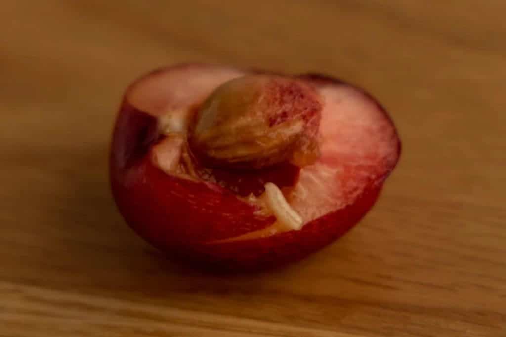 Как правильно мыть черешню от червяков перед едой с рынка