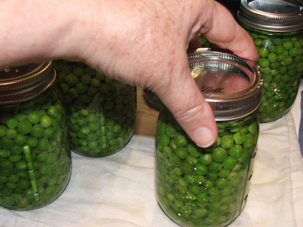Как консервировать зеленый горошек в домашних условиях: 10 вкусных и простых рецептов на зиму