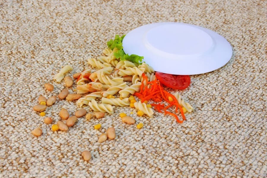 Как в домашних условиях почистить ковер (палас): лучшие подручные средства