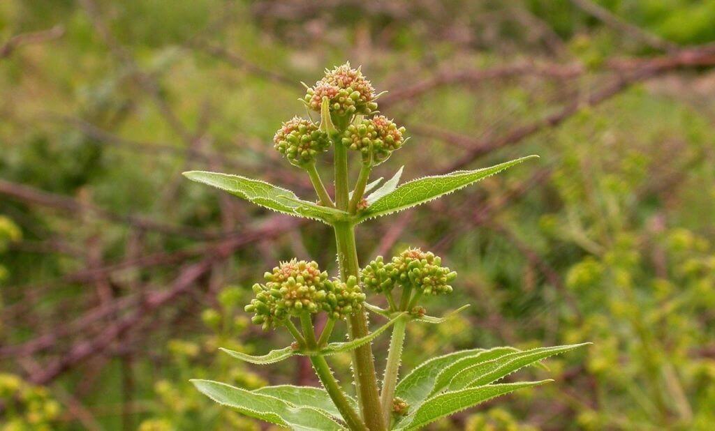 60 идей, как покрасить яйца на Пасху интересно и красиво своими руками с «химией» и без