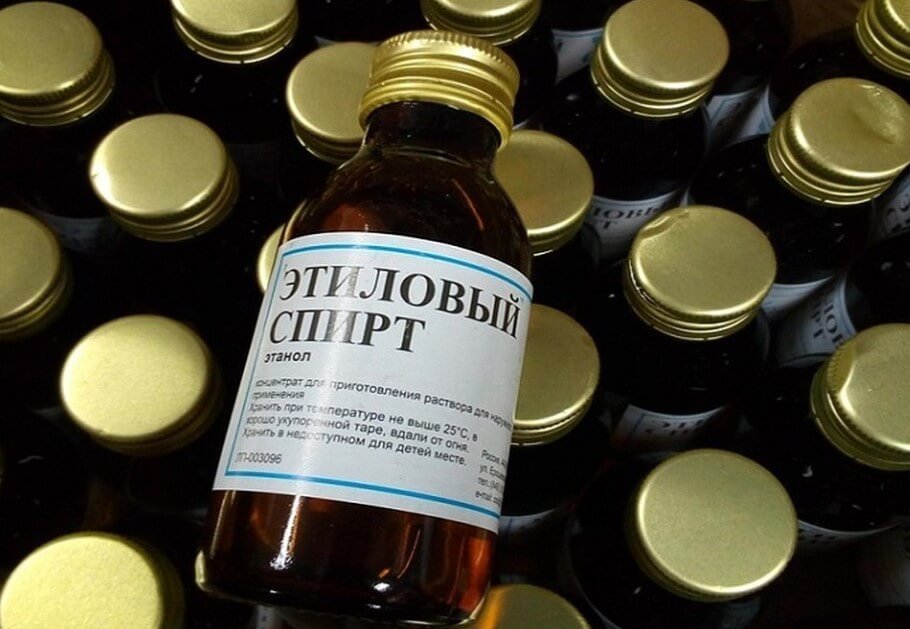 Клопы в квартире и доме: как избавиться самостоятельно раз и навсегда эффективными средствами