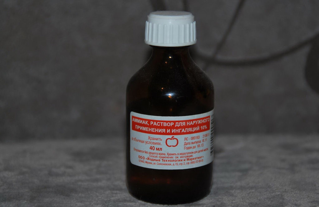 Клопы в квартире и доме: как избавиться самостоятельно раз и навсегда эффективными средствами