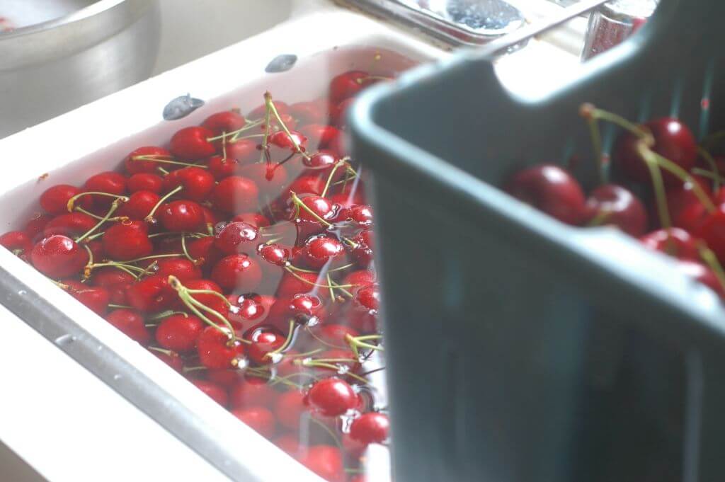 Как правильно мыть черешню от червяков перед едой с рынка
