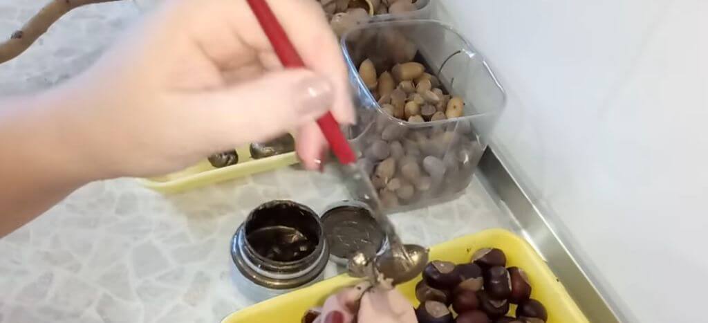 Как сделать новогодний топиарий своими руками для начинающих: 50 поделок с пошаговыми инструкциями и фото