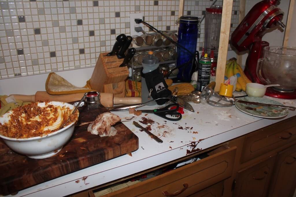 Откуда берутся мошки в квартире и как быстро избавиться от наглых гостей?