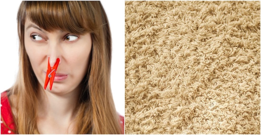 Как в домашних условиях почистить ковер (палас): лучшие подручные средства