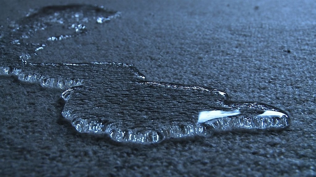 Как в домашних условиях почистить ковер (палас): лучшие подручные средства