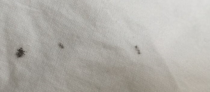 Клопы в квартире и доме: как избавиться самостоятельно раз и навсегда эффективными средствами